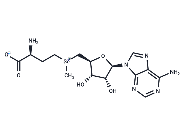 化合物 Adenosylselenomethionine|T29654|TargetMol