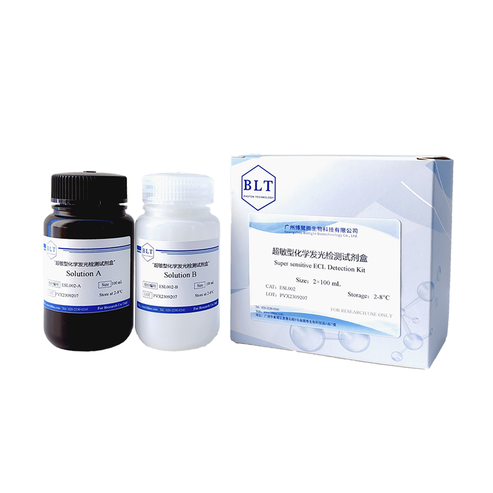 超敏型化学发光检测试剂盒