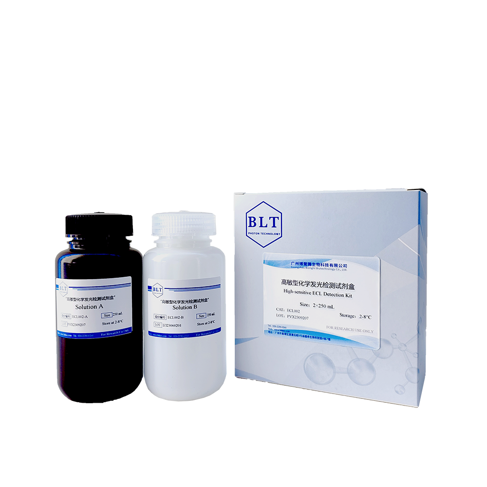 高敏型化学发光检测试剂盒