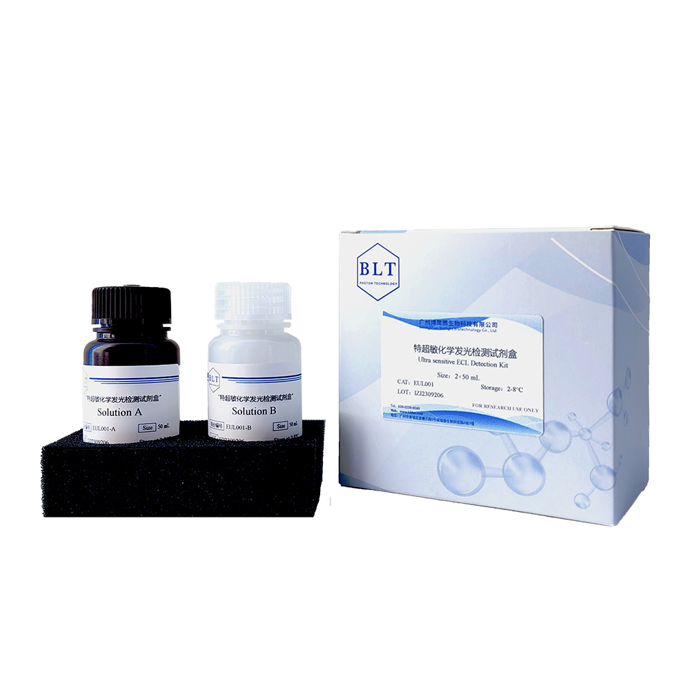 特敏型化学发光检测试剂盒