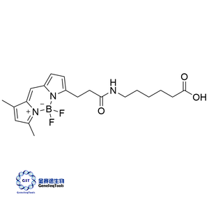 217190-07-3 | BODIPY FL-X