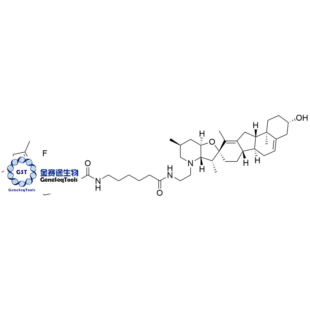 334658-24-1 | BODIPY-Cyclopamine BODIPY-环巴胺
