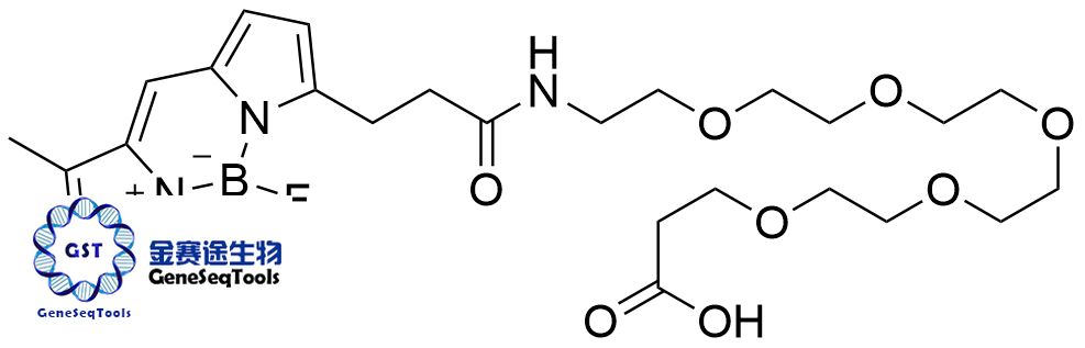 2093197-98-7 | BODIPY FL-PEG5-Acid BODIPY FL-PEG5-酸
