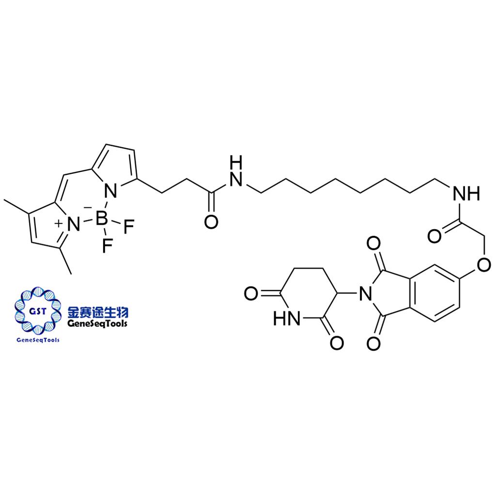 2740620-18-0 | BODIPY FL Thalidomide BODIPY FL 沙利度胺