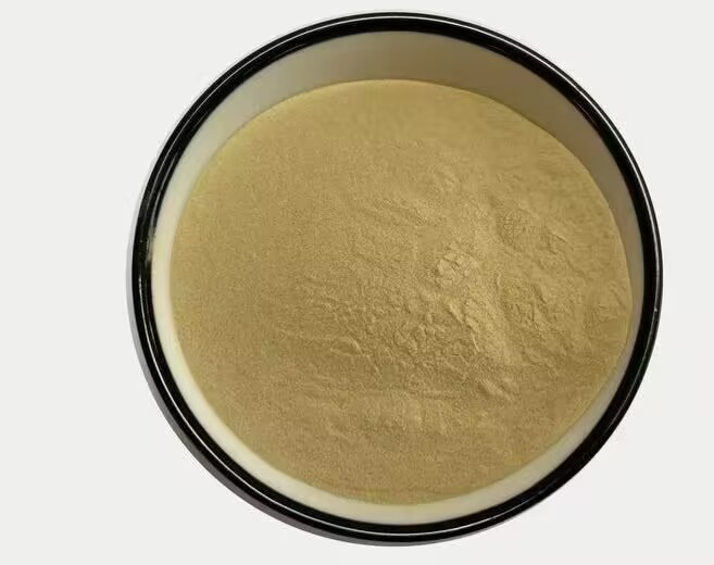 水蛭素 800ATU/g 多规格 菲牛蛭提取 菲水蛭冻干粉