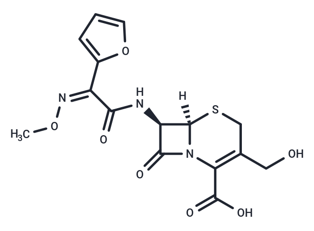 化合物 Descarbamoyl cefuroxime|T11000|TargetMol
