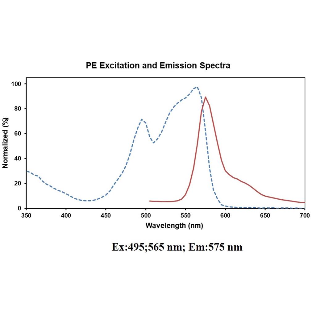 PE 标记抗人CD105抗体[SN6]