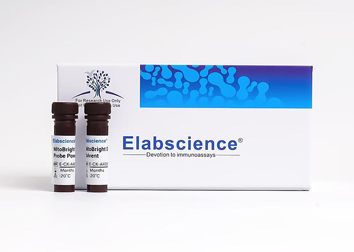 PE标记抗小鼠IL-4抗体[11B11]