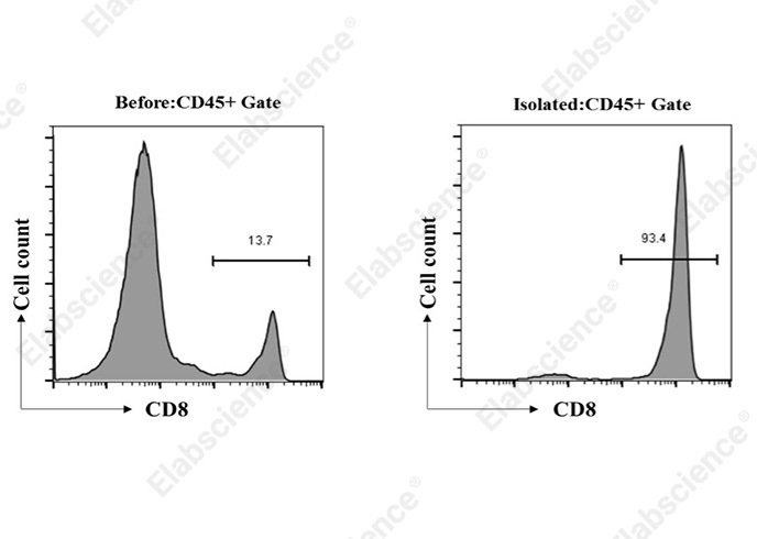 EasySort 小鼠CD8+T细胞分选试剂盒