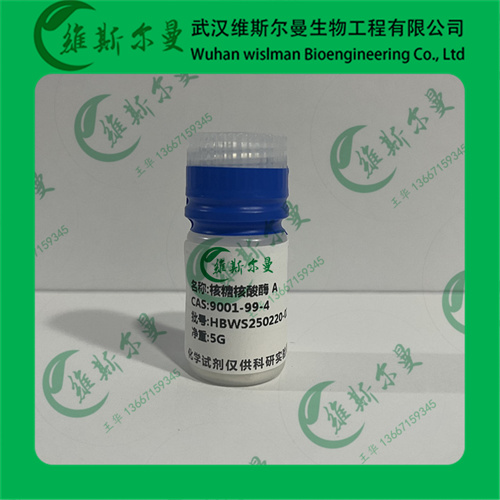 核糖核酸酶 A-9001-99-4-酶活≥60units/mg；蛋白质≥80%-化学试剂-找维斯尔曼王华