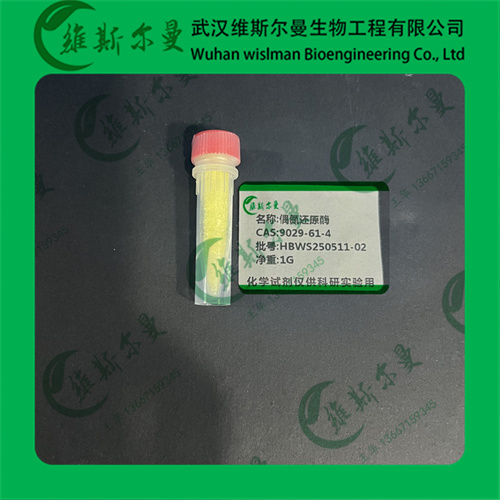 偶氮还原酶-9029-61-4-纯度≥94%；活力≥1U/mg solid-化学试剂-找维斯尔曼王华