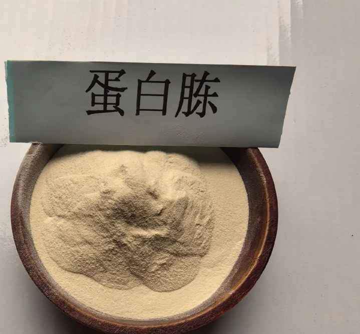 酵母蛋白胨 BIOTECNICA 墨西哥进口