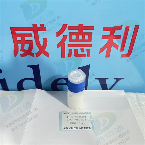 门冬酰胺酶；天门冬酰胺酶