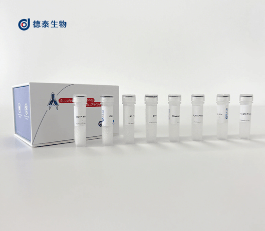 5′RACE/3′RACE PCR扩增试剂盒