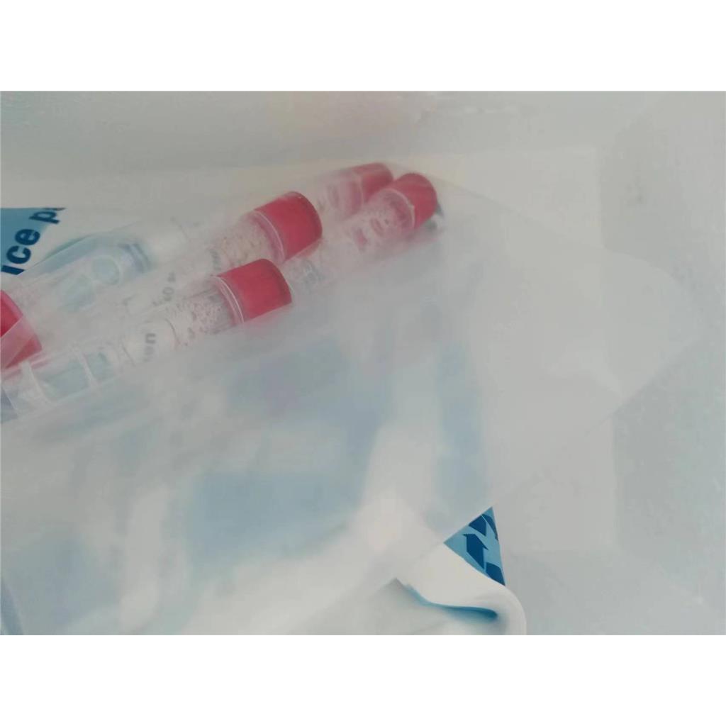 荧光素酶，9014-00-0环境监测仪器发光剂