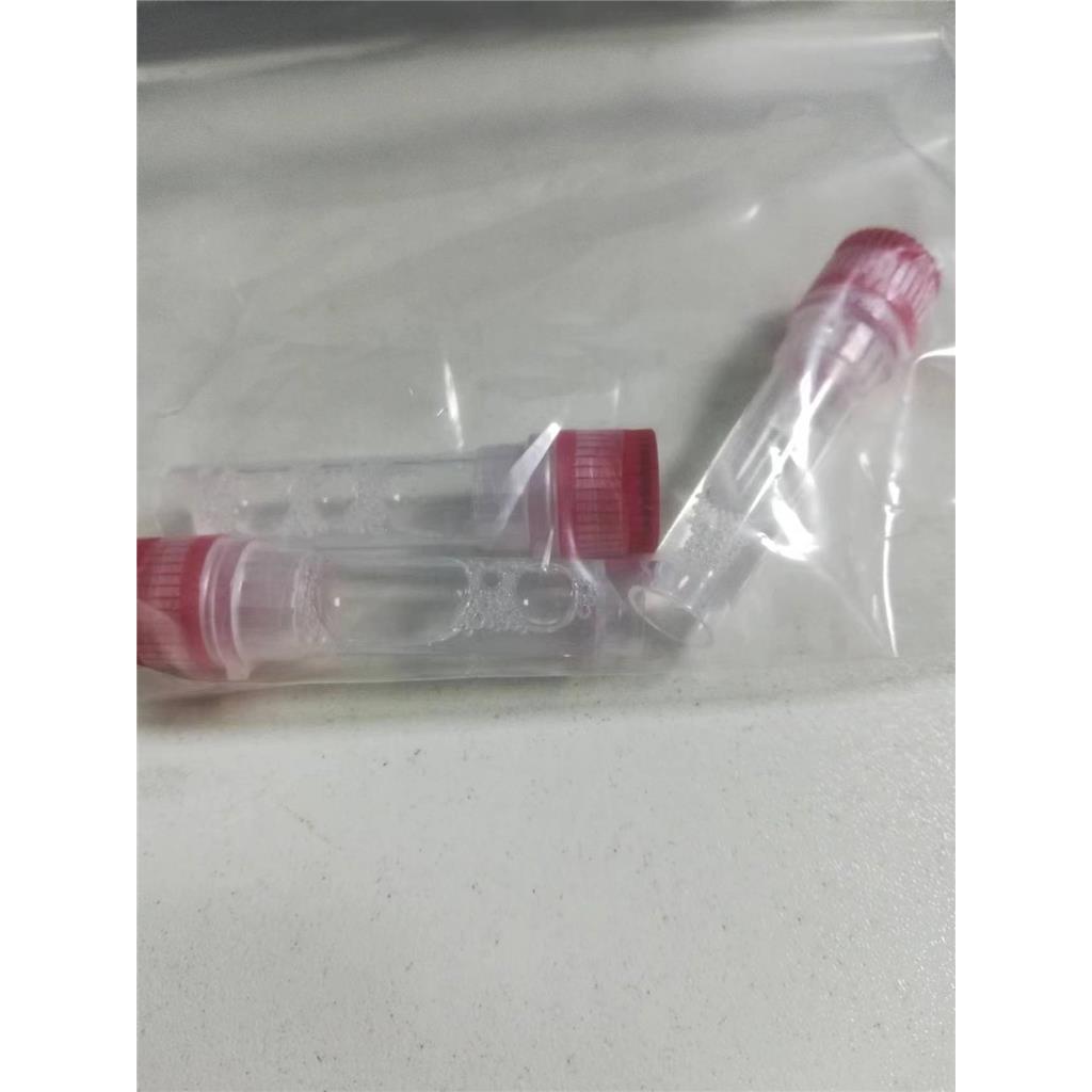 荧光素酶，9014-00-0环境监测仪器发光剂