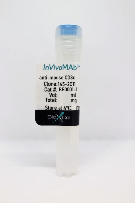 抗小鼠 CD3ε（InVivoMAb）