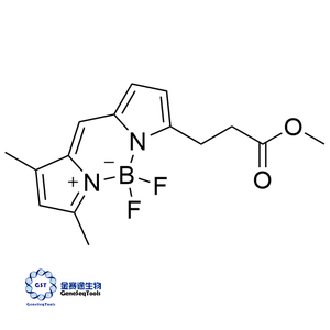 1242057-00-6 | BODIPY FL methyl ester 3-BODIPY-丙酸甲酯