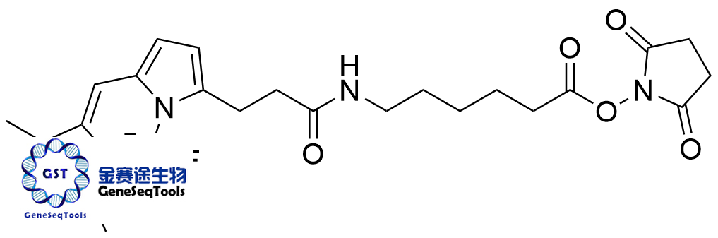 217190-09-5 | 3-Bodipy-propanoylaminocaproic acid N-hydroxysuccinimide ester;BDY FL-X, SE 3-BODIPY-丙酰氨基己酸 N-羟基琥珀酰亚胺酯