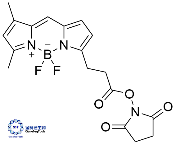 146616-66-2 | BODIPY FL succinimide ester;BDP FL NHS ester BODIPY FL 琥珀酰亚胺酯