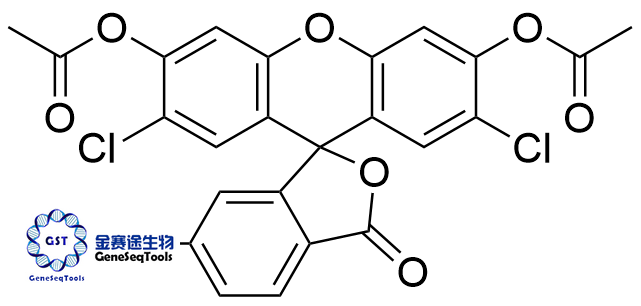 144489-09-8 | 5-Carboxy-DCF DA 6-羧基-DCF DA