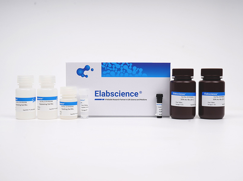 Elabscience 铜（Cu2+）比色法测试盒（络合法）-E-BC-K300-M