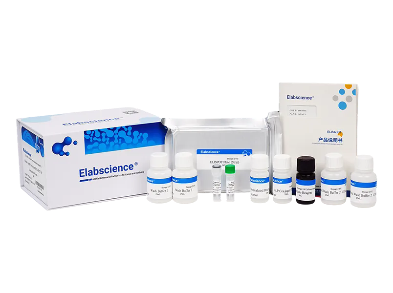 Elabscience 小鼠γ干扰素(IFN-γ) elisa试剂盒-E-EL-M0048