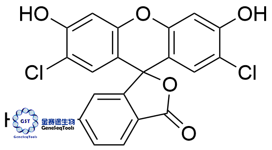 144316-86-9 | 6-Carboxyl-2',7'-dichlorodihydrofluorescein 6-羧基-2',7'-二氯二氢荧光素