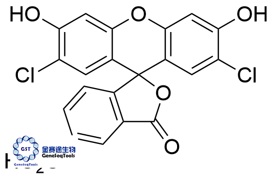 142975-81-3 | 5-Carboxyl-2',7'-dichlorodihydrofluorescein 5-羧基-2',7'-二氯二氢荧光素