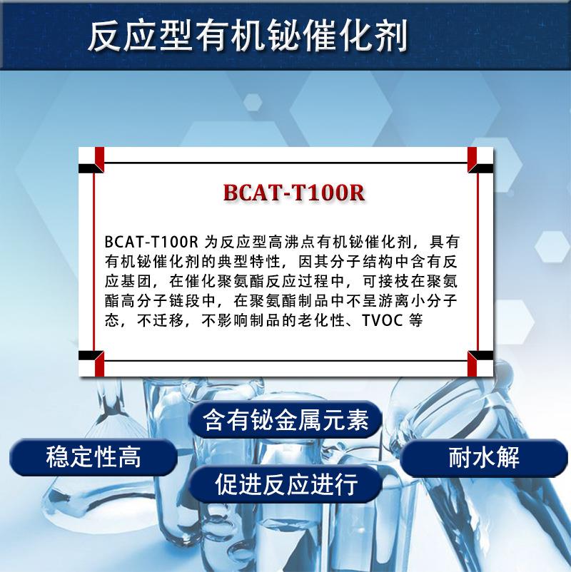 BCAT-T100R详细1.jpg