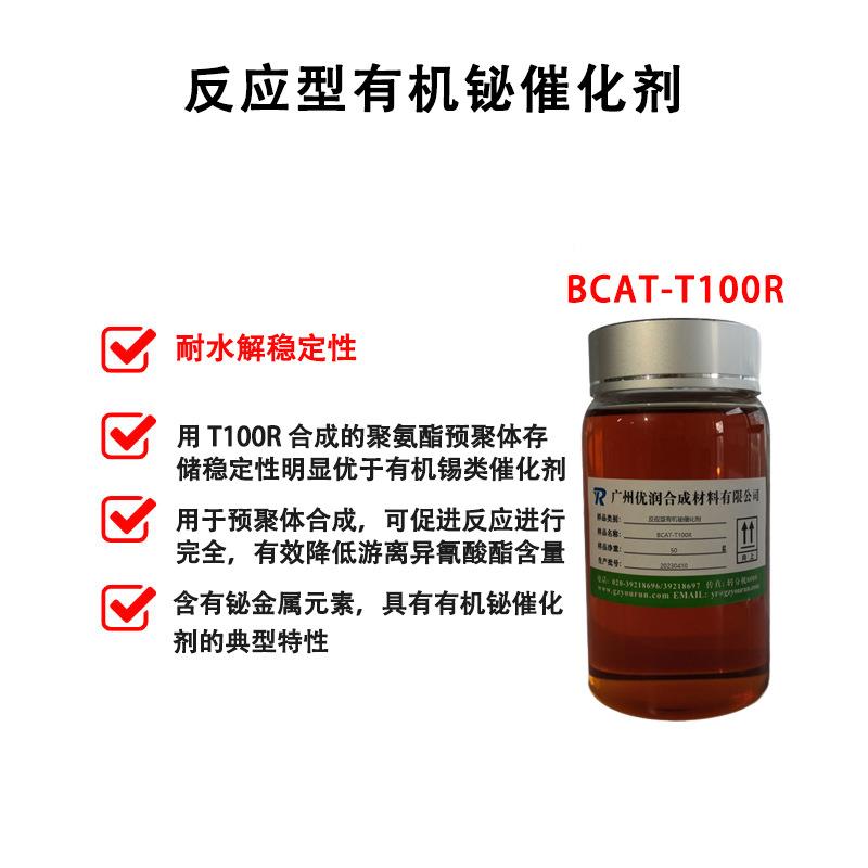 BCAT-T100R主详细2.jpg