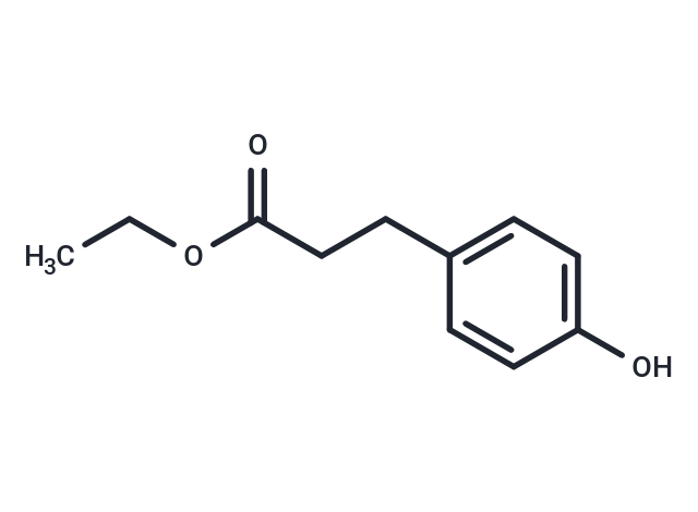化合物 Ethyl 3-(4-hydroxyphenyl)propionate|T125245|TargetMol