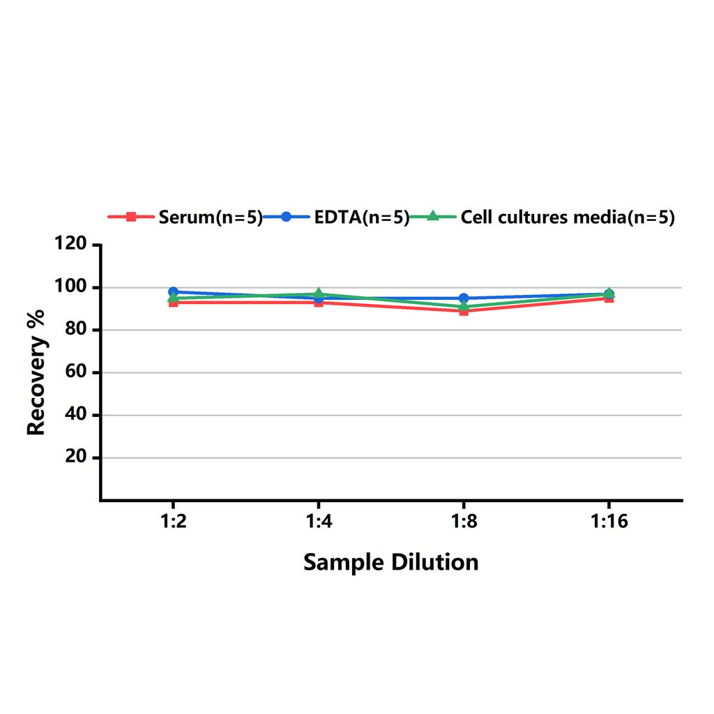 小鼠基质金属蛋白酶抑制因子1(TIMP-1)ELISA试剂盒-Tissue Inhibitors of Metalloproteinase 1
