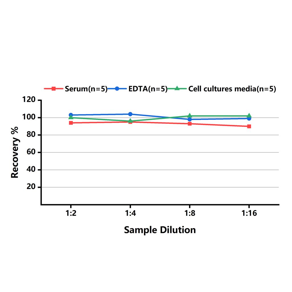 小鼠单核细胞趋化蛋白1(MCP-1)ELISA试剂盒-Monocyte Chemotactic Protein 1