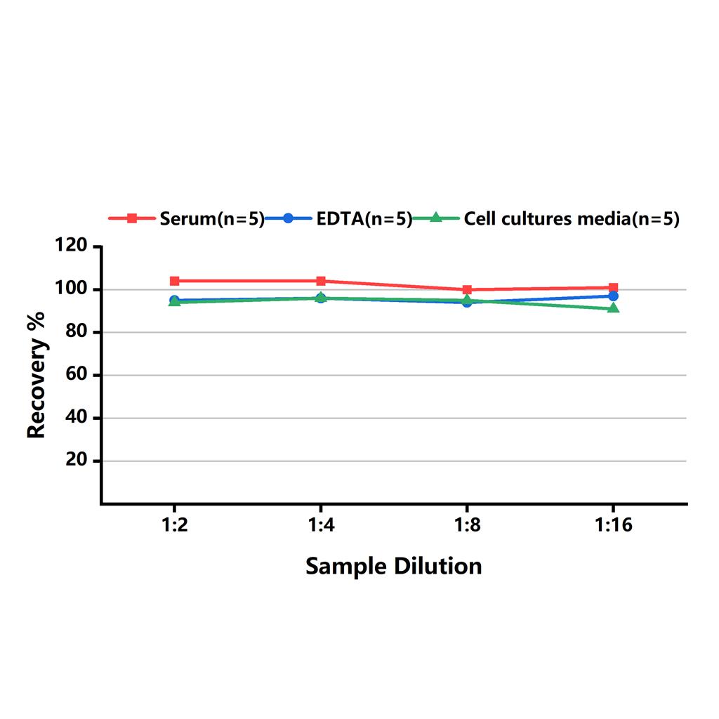 人肿瘤坏死因子α(TNF-α)ELISA试剂盒-Tumor Necrosis Factor Alpha