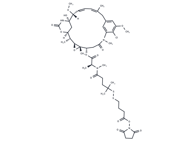 化合物 SPDB-DM4|T18701|TargetMol