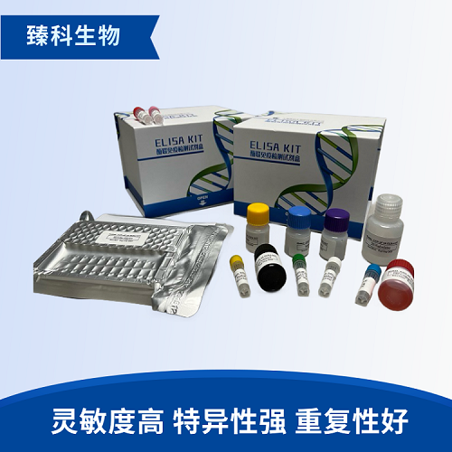人表皮生长因子受体(EGFR）elisa检测试剂盒