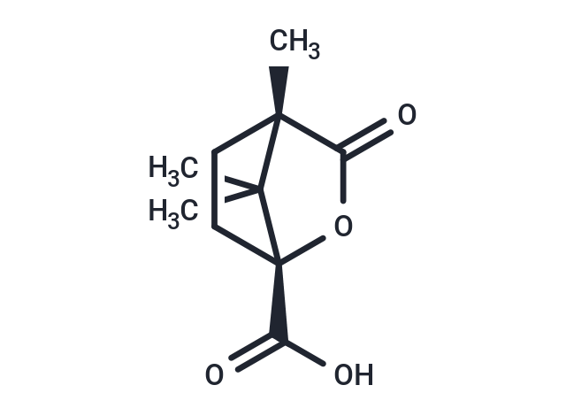 化合物 Camphans?ure (+)-|T124427|TargetMol