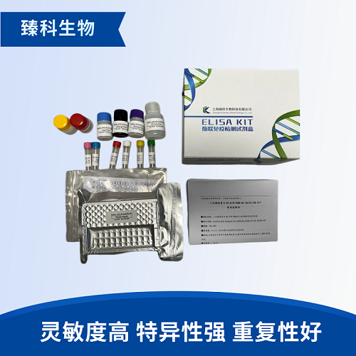人DNA甲基转移酶1(DNMT1）elisa试剂盒