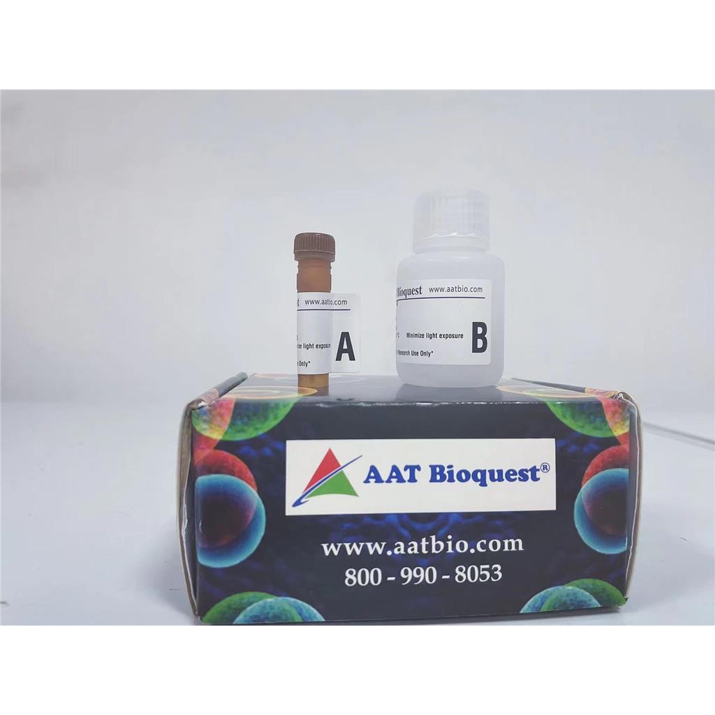 Amplite 荧光法过氧化酶检测试剂盒 *红色荧光*