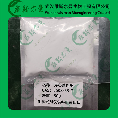 清热解毒穿心莲厂家现货