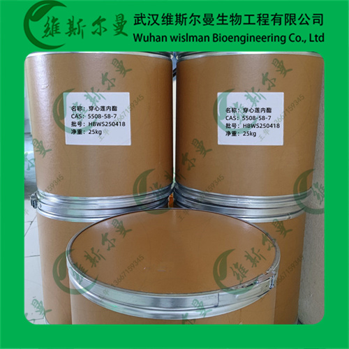 清热解毒穿心莲厂家现货