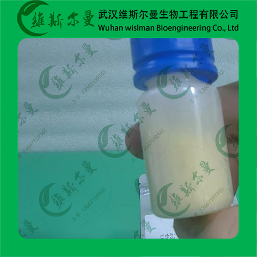 结晶紫内酯-1552-42-7-压敏材料辅助性染料-含量≥96%-找维斯尔曼王华