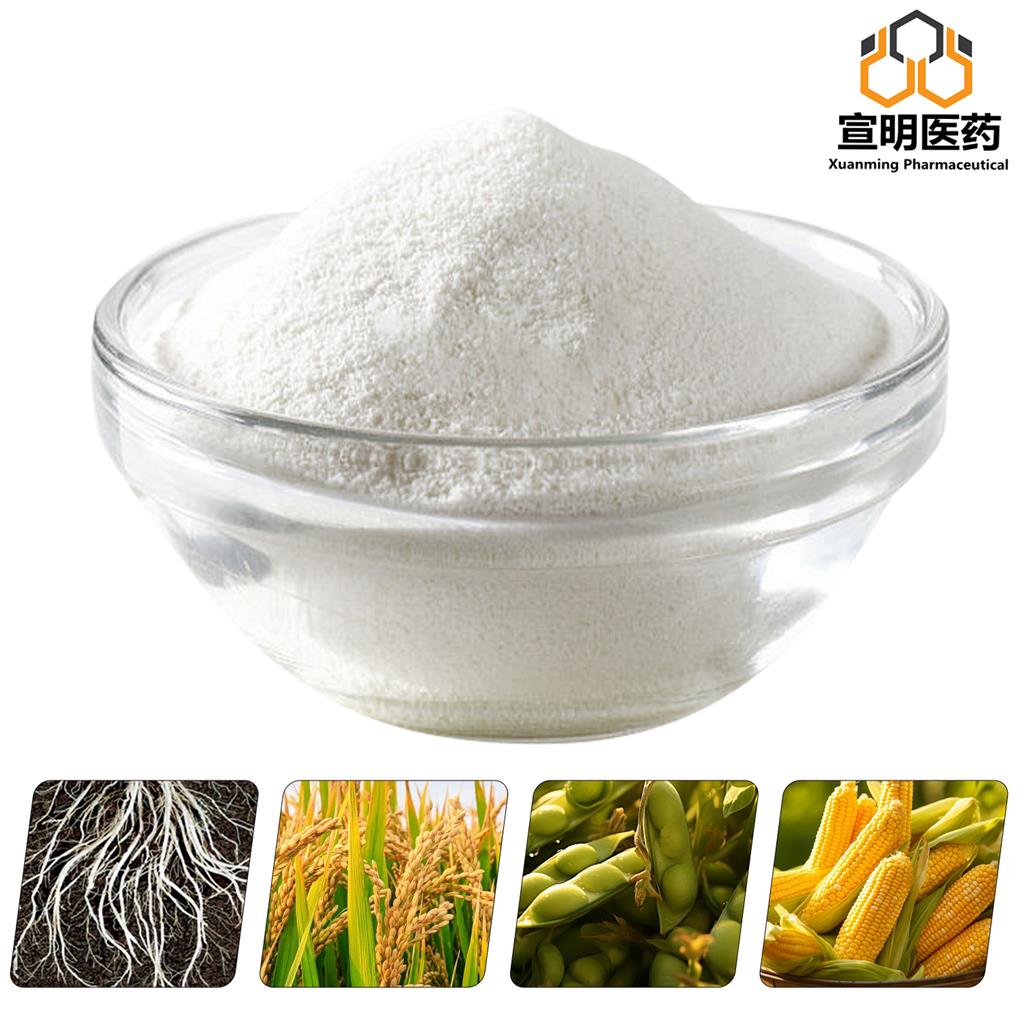 索玛鲁肽侧链-OSU裂解体