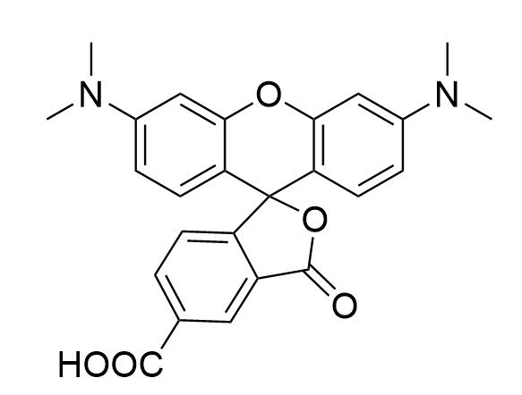 荧光染料：5-羧基四甲基罗丹明