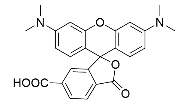 荧光探针：6-羧基四甲基罗丹明