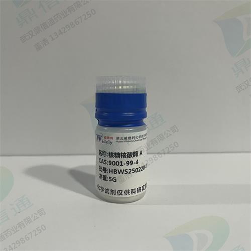 核糖核酸酶 A—9001-99-4 (2).jpg