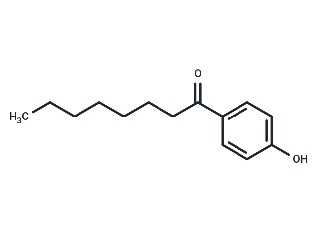 化合物 4-Octanoylphenol|T29442|TargetMol