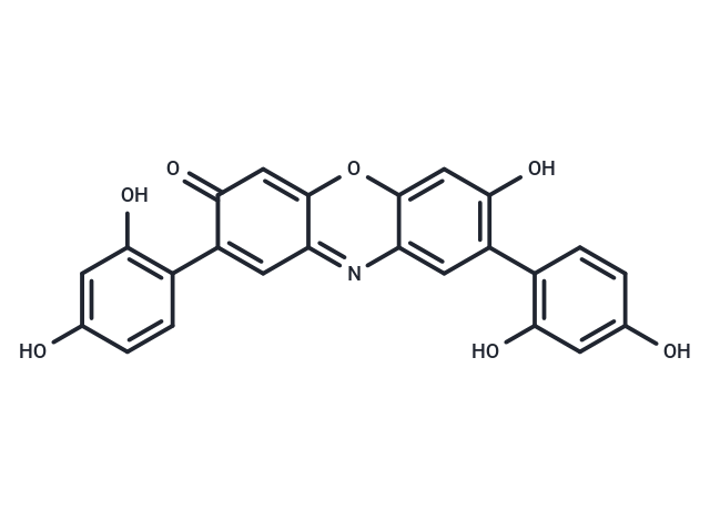 化合物 O4|T19837|TargetMol