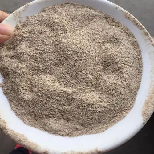 白僵菌（含孢子200亿活孢子/g）粉末